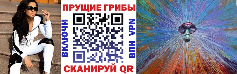 Купить закладки  Зеленоградск  Псилоцибиновые грибы Psilocybine cubensis 